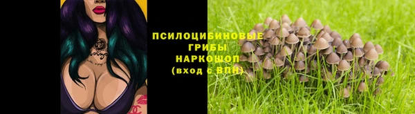 spice Балахна