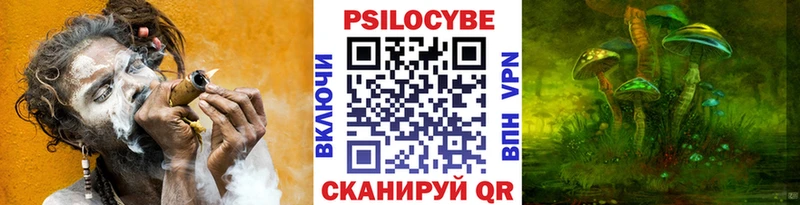Галлюциногенные грибы Psilocybine cubensis Купить закладки Скопин